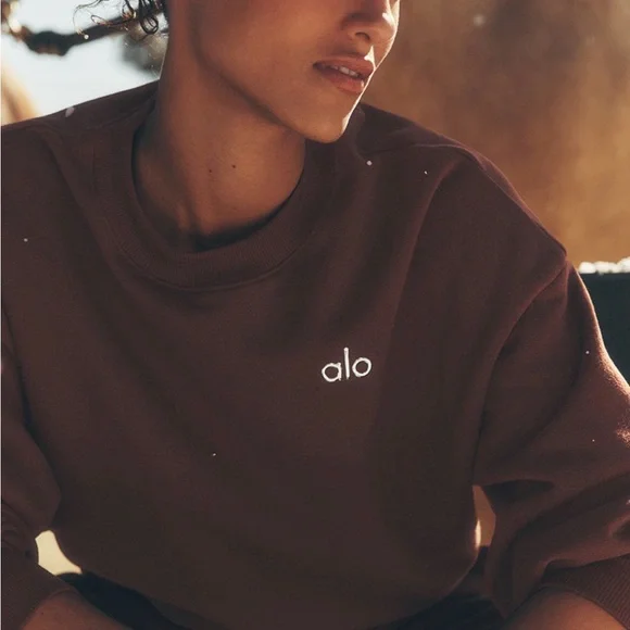 ALO Yoga Brown Crew Neck Sweater - Picture 1 of 4
